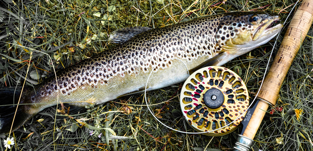 Fly Fishing with Mauritia