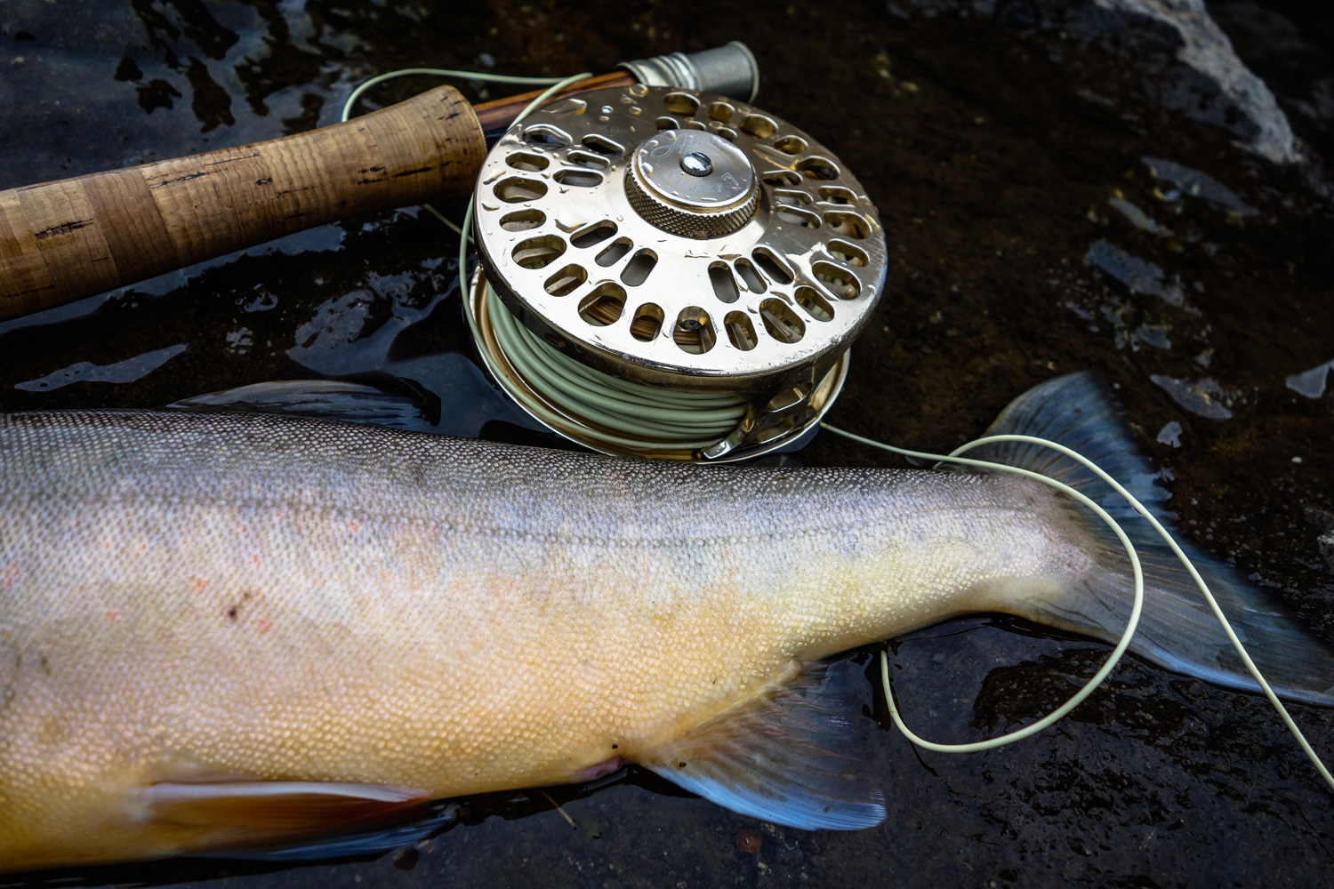 Fly Fishing with Mauritia