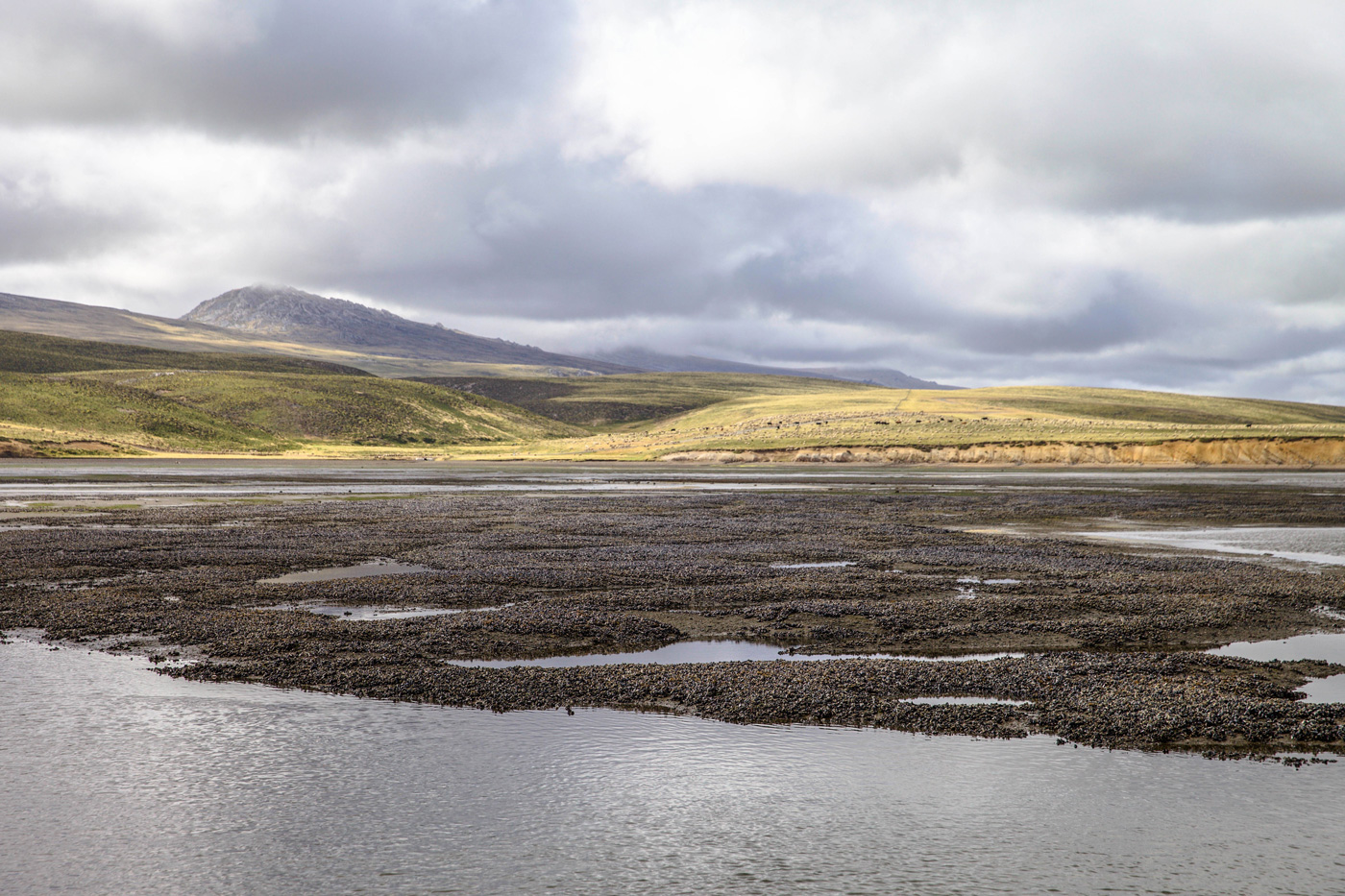 Fly Fishing with Mauritia